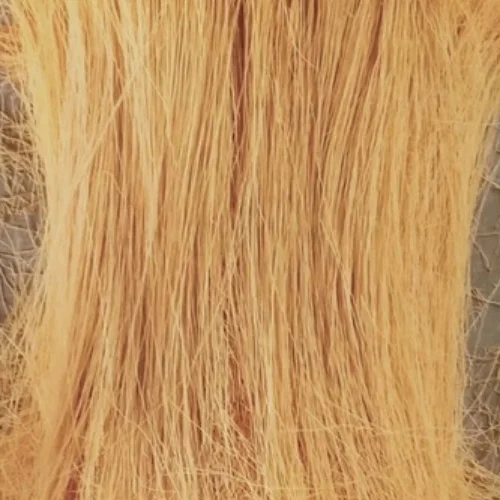 Long Cut Vermicelli